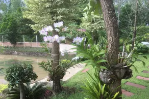 Resotel Baan Sanook - Image 3