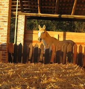 La Locanda Del Nocciolo - Image 2
