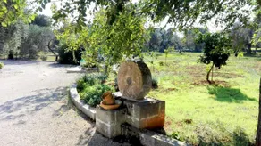 Trullo Giampiero - Image 3