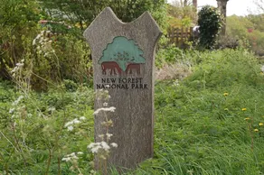The Dairy - Image 4