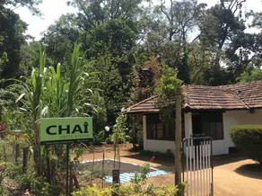 Chai Guest House Munnar - Image 3
