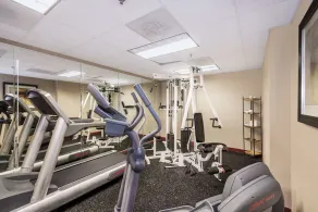 Comfort Inn & Suites Maingate South - Image 4