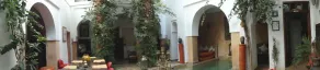 Ryad Noura - Image 3