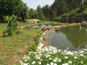 Maison de vacances avec barbecue, terrasse et piscine | Vue jardin - Image 4