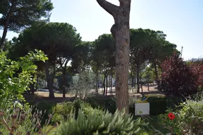 Apartamento Ginjoler - Image 4