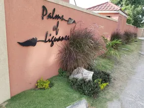 Palms Of Liguanea - Image 5