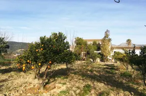 Can Cama Rotja - Image 4