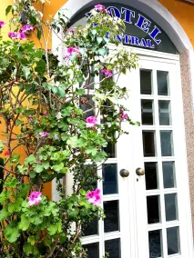 Hotel Central - Image 3
