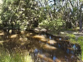 Riverway Chalets - Image 5