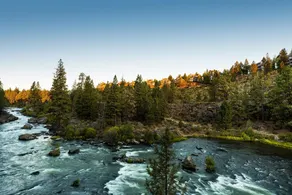 River Wild 61395 - Image 3