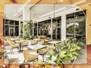 Nuovo Miami Airport Coral Gables - Image 5
