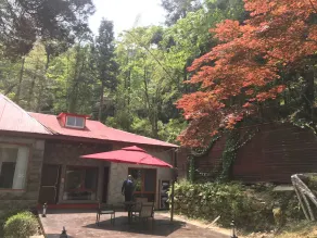 Lushan·Xinyuan Villa - Image 3