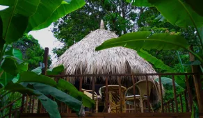 Tayrona Paradise - Image 4