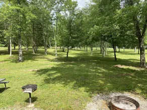 Little Easy Cabins - Image 2