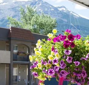 Maligne Lodge - Image 5