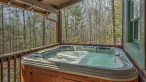 Fernhaven by Escape to Blue Ridge - Image 3
