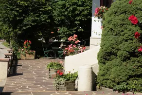 Haus Ranker - Image 3