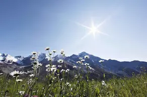 Hotel Alpina - Image 3