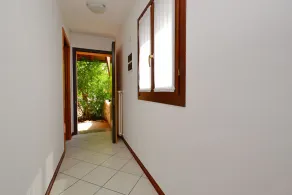 Rio - Image 4