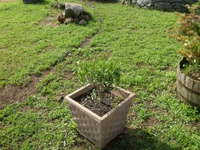 Agriturismo Nuragh'Elighe - Image 2