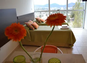 Giova Apart Salta - Image 4
