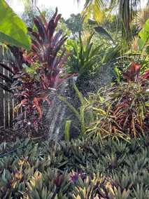 Paradise Palms CLOSE TO BEACH, WIFI, 2 BEDROOMS - Image 5