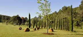 L'Olivar - Image 2