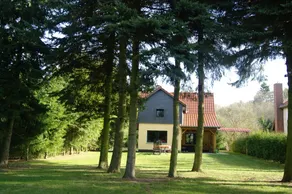 Ferienhaus Mirow-Lärz - Kamin Wald Ruhe - Image 3