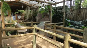 Dinkwe Lodge & Guest House - Image 3