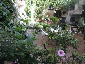 Le Jardin des Fables - Image 5