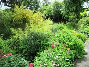 Highland Spirit Bed and Breakfast - Image 5