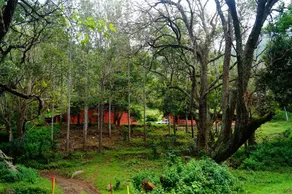 Secret Valley Jungle Resort - Image 2