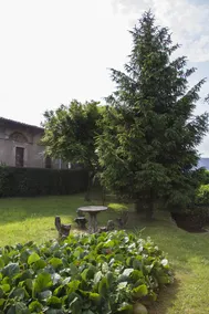 Palazzo Pelandi - Image 5