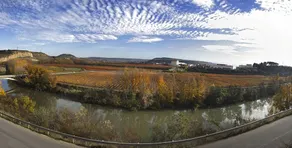 Ikustieder - Image 3