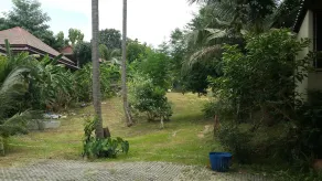 Pattara House - Image 4