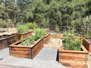 Kenwood California - 3 Br Home - Image 5