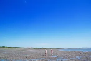 Shore Cottage Powfoot Dumfries - Image 4