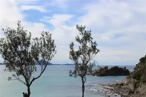 Far Shore - Image 5