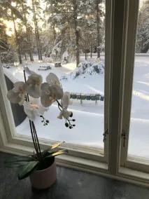 Garpgården Logi och Vandrarhem - Image 5