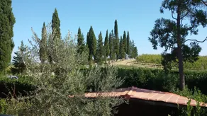 Tenuta di Pomine - Image 3