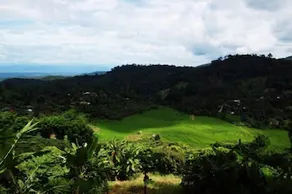 Tadplacamp Organic Farm Stay (ex The Natural Healing Spa Retreat) - Image 3