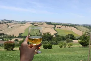 Il Castello Country House - Image 3