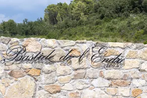 La Bastide De L'Endre - Image 4