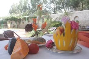 Dar Maris - Image 3