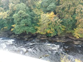 Lovely Riverside Perthshire Flat - Sleeps 8 - Image 4