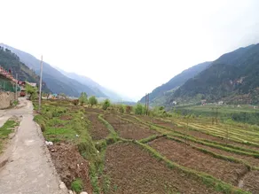 OYO 13697 Home Exotic Hill View Studio Naggar Road - Image 3