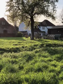 Home Farm - Image 2
