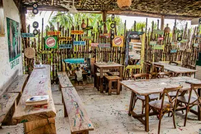 Wild Coffee Retreats - Image 5