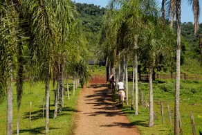 La Mision Macona - Image 4