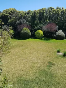 Quinta Casa Portuguesa - Image 4